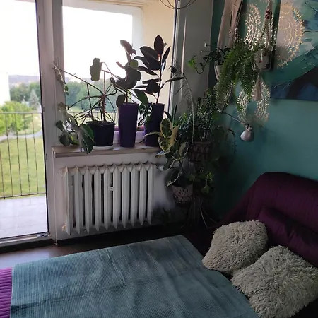 Pokoje U Magdy Room In Flat