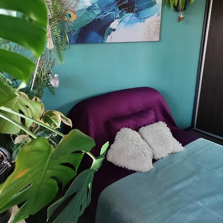 홈스테이 Pokoje U Magdy Room In Flat *