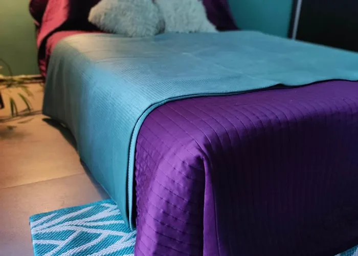 U Magdy вітальня Guest In Flat ホームステイ